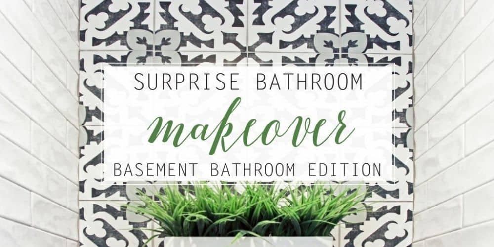 Surprise Bathroom Makeover! Basement Bathroom Edition