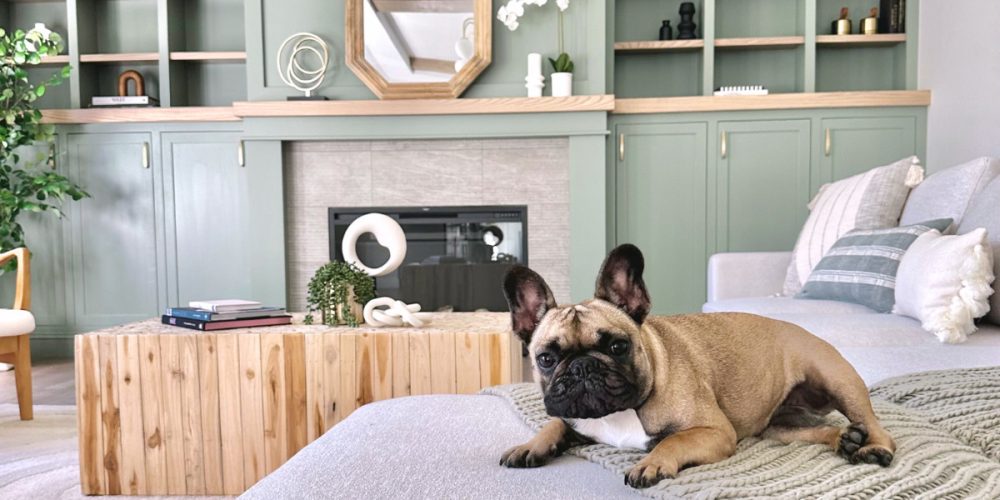 Cozy living room with a French bulldog resting on a plush gray couch, set against green built-in cabinetry and a light wood coffee table. The space exudes warmth and comfort, offering a pet-friendly and stylish home design.