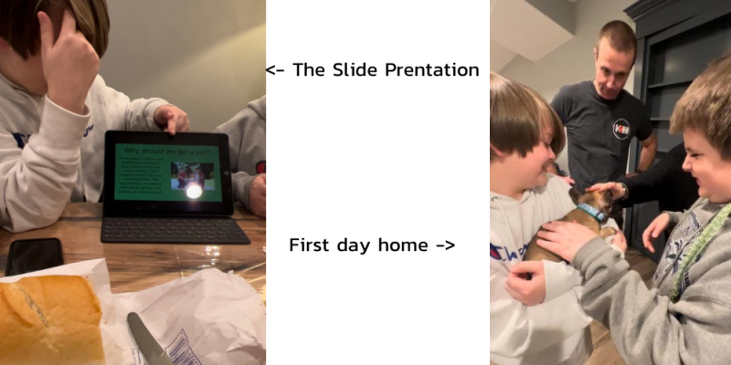 Kids presenting on why they should get a dog, new puppy reveal to kids