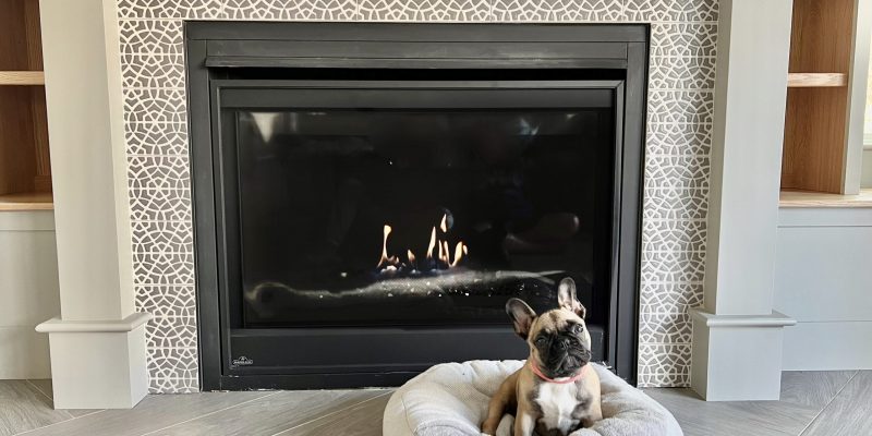 Luna French bulldog brindle puppy in front of the fireplace