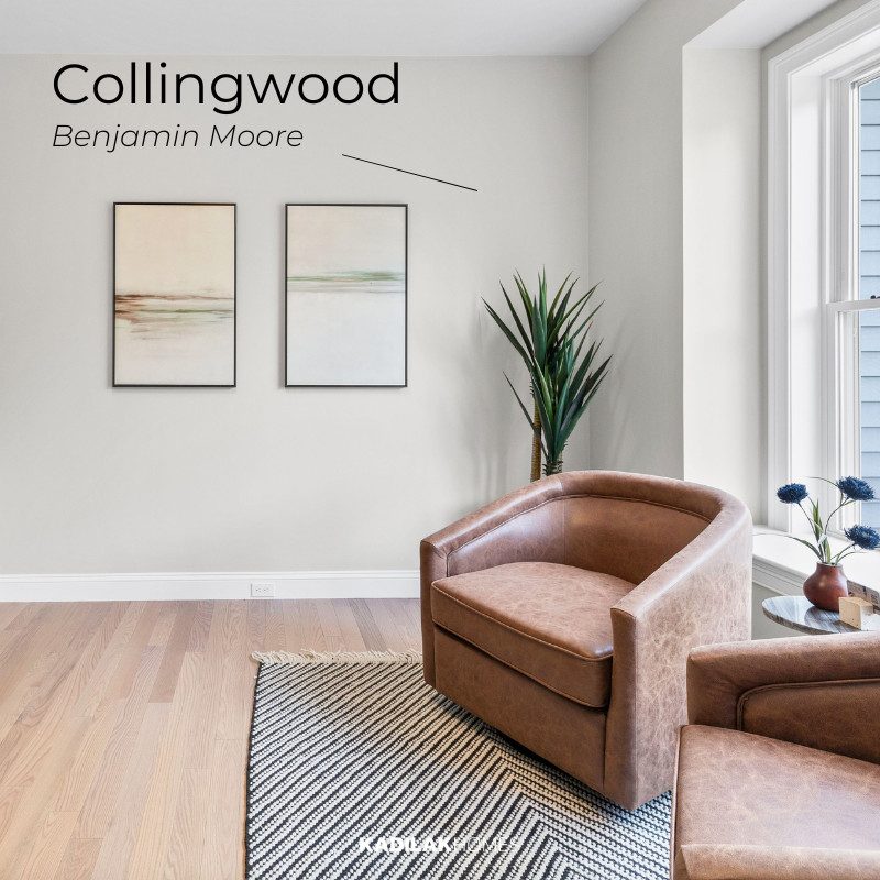 Modern living space featuring Benjamin Moore Collingwood, a soft, warm greige that creates a cozy and inviting atmosphere. Styled with rich brown leather chairs, a neutral area rug, and minimalist artwork, this room embodies an earthy neutral color palette for home with timeless appeal.